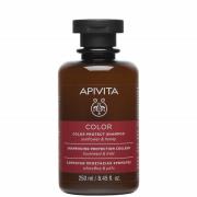 APIVITA Holistic Hair Care Color Protect Shampoo - Sunflower & Honey 250 ml