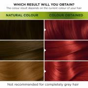 Garnier Nutrisse Permanent Hair Dye (forskellige nuancer) - 6.60 Ultra Fiery Red