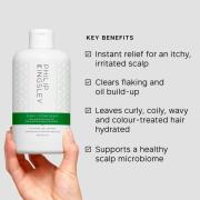 Philip Kingsley Flaky/Itchy Scalp Hydrating Curl Anti-Dandruff Shampoo 500ml