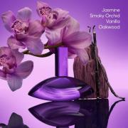 Calvin Klein Euphoria Bold Elixir Parfum Intense 100ml