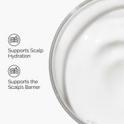 The Ordinary Hair Care Natural Moisturising Factors and HA 60ml