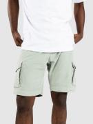 REELL City Cargo Shorts grøn