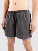 Quiksilver Everyday Surfwash Volley 15 Boardshorts sort
