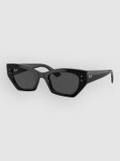 Ray-Ban Zena Black Solbriller sort