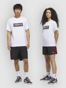 adidas Skateboarding Skt WTR Boardshorts sort