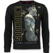 Notorious Sweater - King Conor Sweater Herre