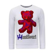 Hr. Teddybjørn Sweater - 3617