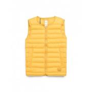 Fjerfri vest