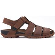 Chestnut Brown Herresandal