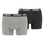 Basic 2Pack Briefs pakke