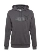 PUMA Sportsweatshirt 'Ess'  grå / mørkegrå