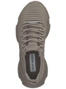 STEVE MADDEN Sneaker low  taupe