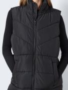 Noisy may Vest 'Dalcon'  sort