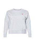 Levi's® Plus Sweatshirt 'PL Standard Crew Swtshrt'  grå / rød