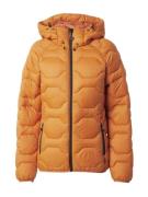 ICEPEAK Sportsjakke 'BLACKEY'  orange