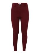 Dorothy Perkins Petite Leggings  burgunder