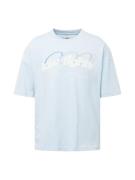 Low Lights Studios Bluser & t-shirts 'Arctic Ring'  blå / lyseblå / grå / hvid
