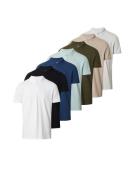 HOLLISTER Bluser & t-shirts  beige / blå / grøn / hvid