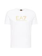 EA7 Emporio Armani Bluser & t-shirts  guld / hvid