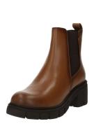 TOM TAILOR Chelsea Boots  brun / choko