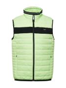 ANTONY MORATO Vest  lime / sort / hvid