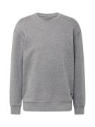 R.D.D. ROYAL DENIM DIVISION Sweatshirt 'Andy'  grå-meleret / sort / hvid