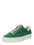 Paul Green Sneaker low '5320-005'  beige / grøn