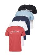 HOLLISTER Bluser & t-shirts  navy / lyseblå / hvid