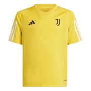 ADIDAS PERFORMANCE Funktionsskjorte 'Juventus Turin Tiro 23'  gul / sort / hvid