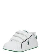 Polo Ralph Lauren Sneakers 'HERITAGE COURT III EZ'  grøn / hvid