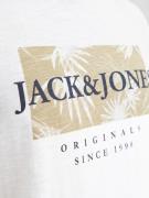 JACK & JONES Bluser & t-shirts  sand / grafit / hvid
