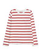 KIDS ONLY Bluser & t-shirts 'Soph'  rød / hvid