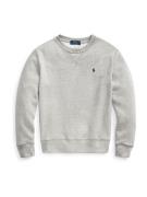 Polo Ralph Lauren Sweatshirt  lysegrå