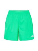 THE NORTH FACE Sportsbukser  lime / hvid