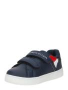 TOMMY HILFIGER Sneakers  navy / rød / hvid
