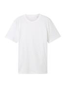 TOM TAILOR DENIM Bluser & t-shirts  lyseblå / mint / hvid