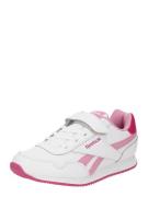 Reebok Sneakers 'ROYAL CL'  pink / hindbær / hvid