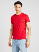 Emporio Armani Bluser & t-shirts  marin / blodrød / hvid