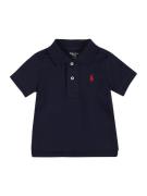 Polo Ralph Lauren Shirts  navy / rød