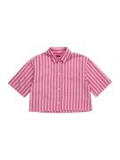 MAX&Co. Bluse  lyserød / lys pink