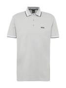 BOSS Bluser & t-shirts 'Paddy'  grå / sort / hvid
