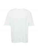 Jordan Bluser & t-shirts 'ESS 85'  mint / hvid