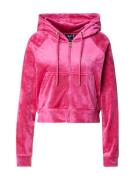 19V69 ITALIA Sweatjakke 'IVANA'  pink