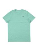 Abercrombie & Fitch Shirts  grå-meleret / grøn