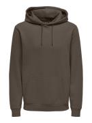 Only & Sons Sweatshirt 'ONSCERES'  choko