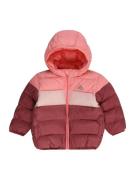 ADIDAS SPORTSWEAR Sportsjakke  lys pink / cranberry / hvid