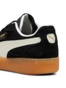 PUMA Sneaker low 'Palermo'  guld / sort / hvid