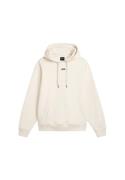 VANS Sweatshirt 'FLYING V'  lysebeige / sort