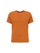 BLEND Bluser & t-shirts 'Dinton'  okker