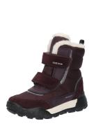 GEOX Snowboots 'Trekkyup'  vinrød / sølv